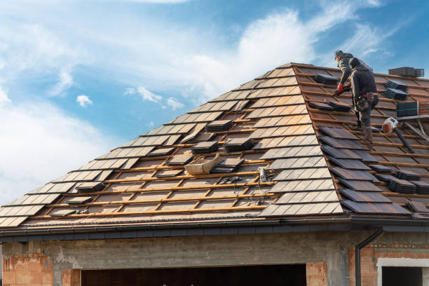 Best Roof Moss and Algae Removal  in Hillandale, MD